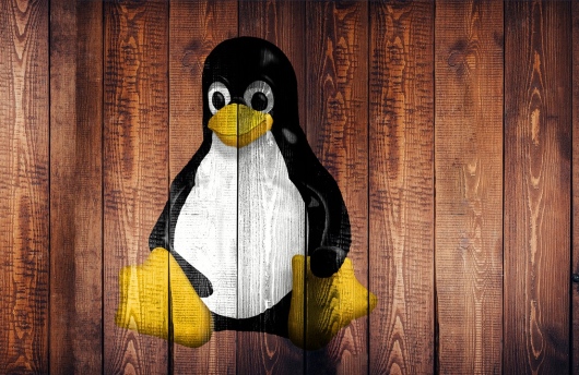 עובדות בלינוקס